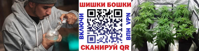 Шишки марихуана THC 21%  как найти наркотики  KRAKEN   Бежецк 